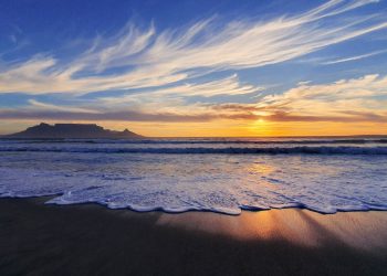 Latest Economic Trends and News in South Africa