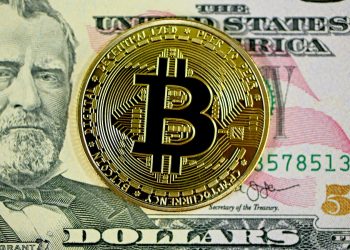 Exploring Crypto: Making Sense of the Cryptocurrency Craze in South Africa