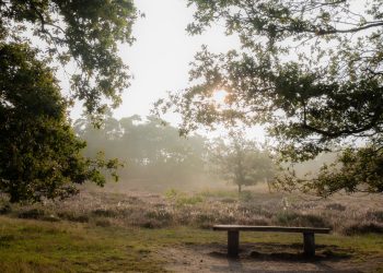 A Guide to Early Retirement Strategies in South Africa