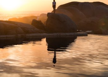 Unveiling South Africa’s Delicious Food Culture