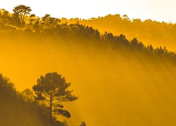 Harnessing the Beauty of South Africa: Living a Lifestyle of Balance