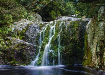 Change Gears: South Africa’s Automotive Industry Revolution